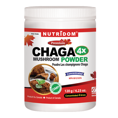 Nutridom Chaga 4x Powder 120g